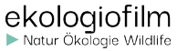 Ekologio